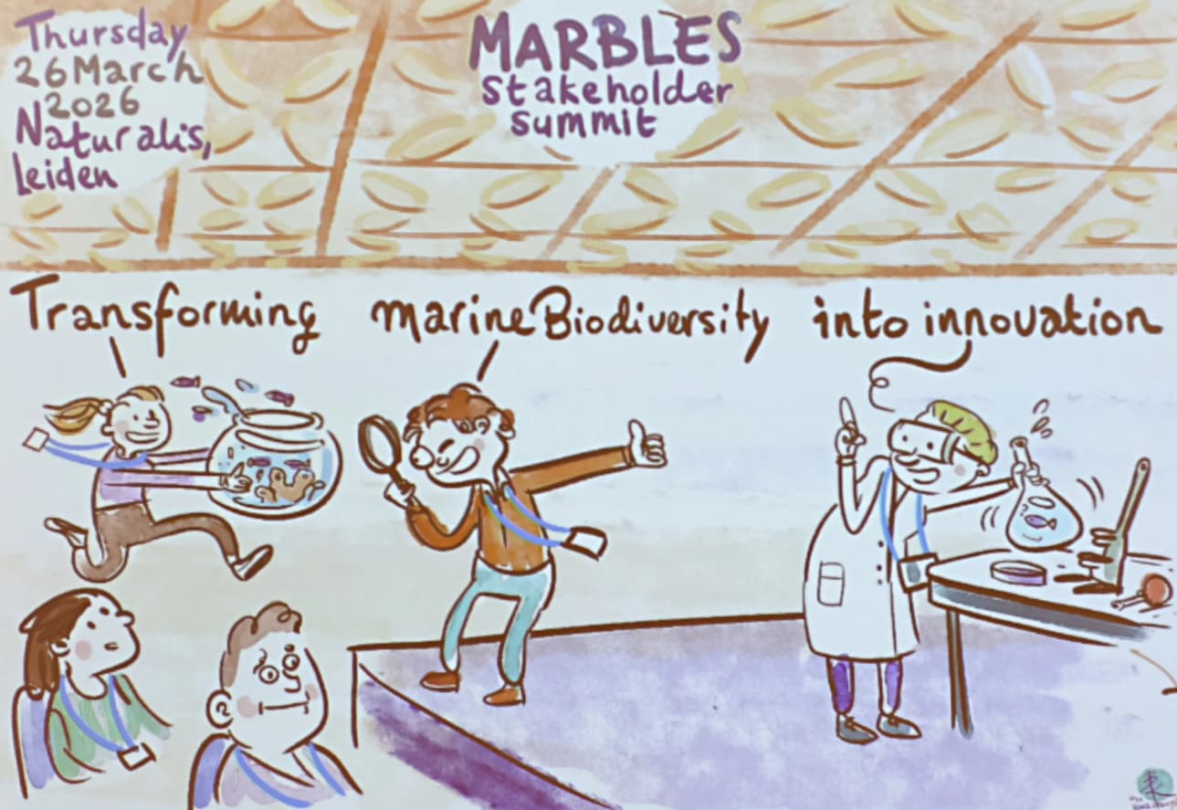 Opening cartoon of the MARBLES closing summit
